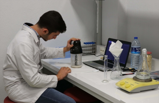 Ispanak ve zenfecil hastalık tespitinde kullanılacak